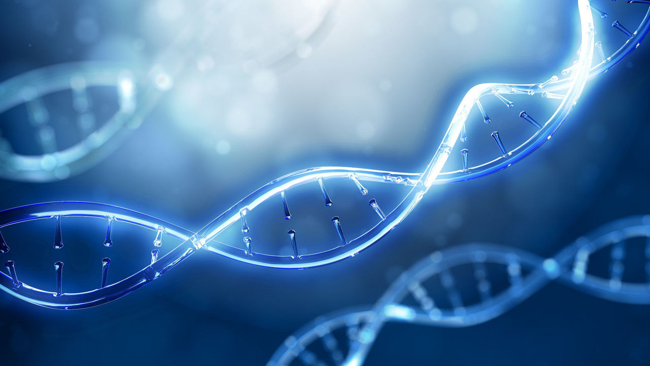How does the sample affect the DNA test?